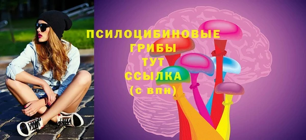 хмурый Приозерск